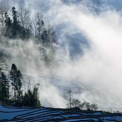 Landscape Surrounded By Fog-Shu Zhang