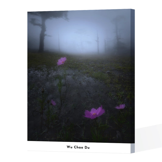 Flowers in Fog-Wuchao Du