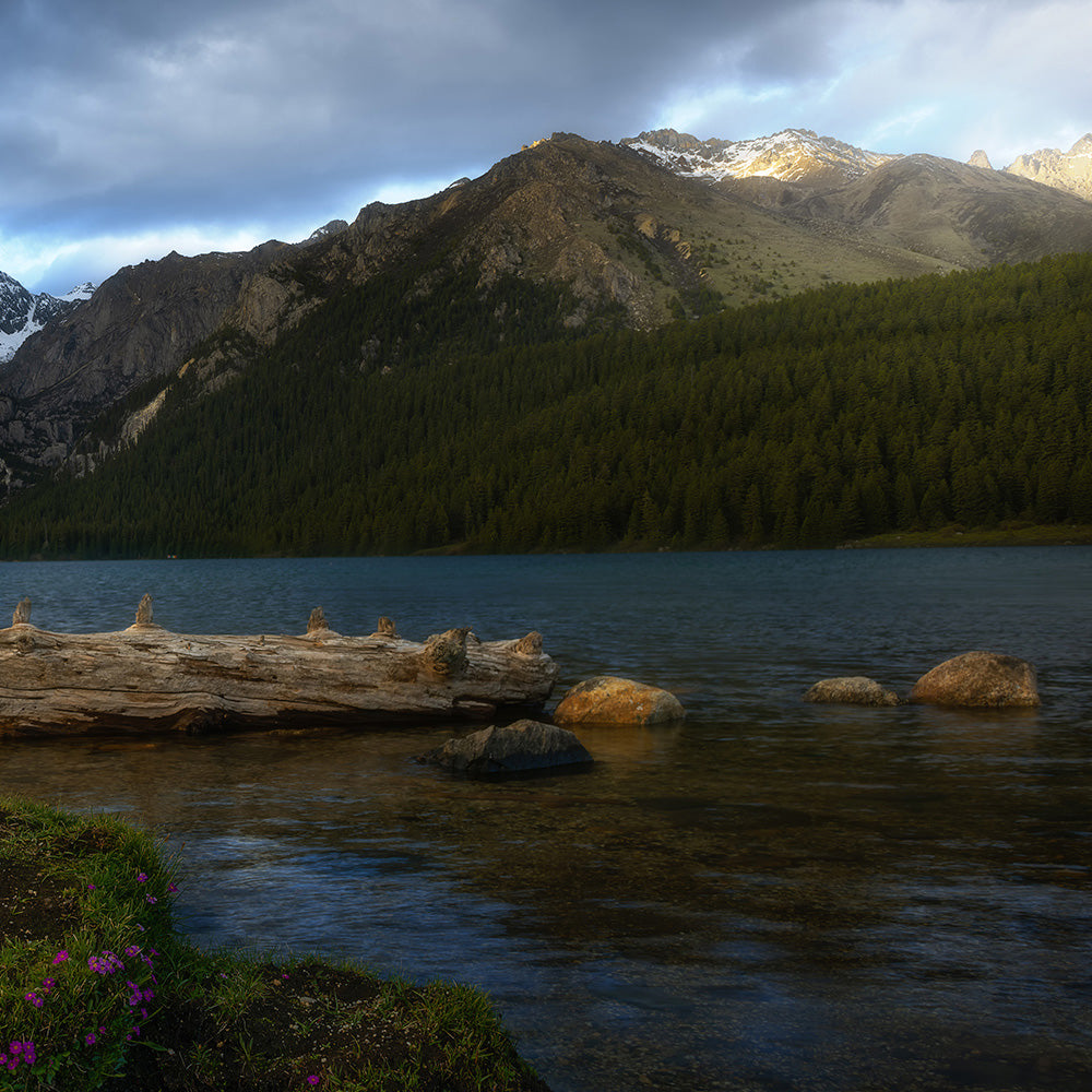 Mountain Scenery-Wuchao Du