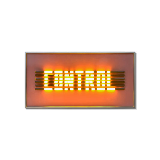 "CONTROL" Lighting Installation Art